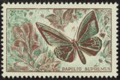 Papilio Supremus dentelé brun foncé, vert et rouge