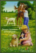 Nature - Jeunes animaux domestiques 2006 - bloc de 4 timbres