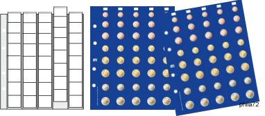 Feuilles préimprimées numismatique PREMIUM universel pour 5 jeux complets de pièces de 1 cent à 2 euros - paquet de 2 feuilles