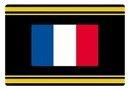 Signette drapeau de France