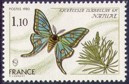 Papillon Graellsia Isabellae - 1.10f multicolore