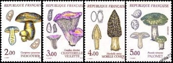 Série faune & flore - 4 timbres