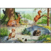 Nature de France - Faune animaux des bois 2001 - bloc de 4 timbres