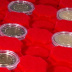 Coffret numismatique NERA M en simili cuir pour 35 pièces de 2 euros sous capsules