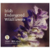 Coffret euro Irlande 2020 BU Fleurs sauvages irlandaises