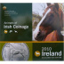 Coffret série monnaies euro Irlande 2010 Brillant Universel - Le cheval