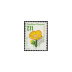 Série fleurs sauvage - 4 timbres