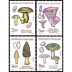 Série faune & flore - 4 timbres