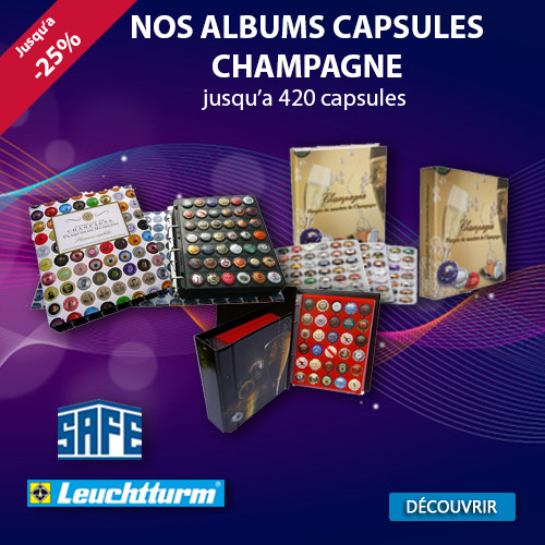 LOT 5 BOX PLAQUES INTERCALAIRES FEUTRINE 40 CASES POUR CAPSULES / CLASSEUR  A4